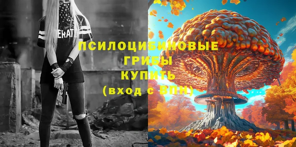 jwh Горняк