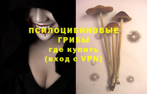 jwh Горняк