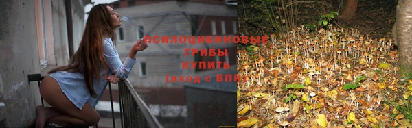 соль курить ск Горнозаводск