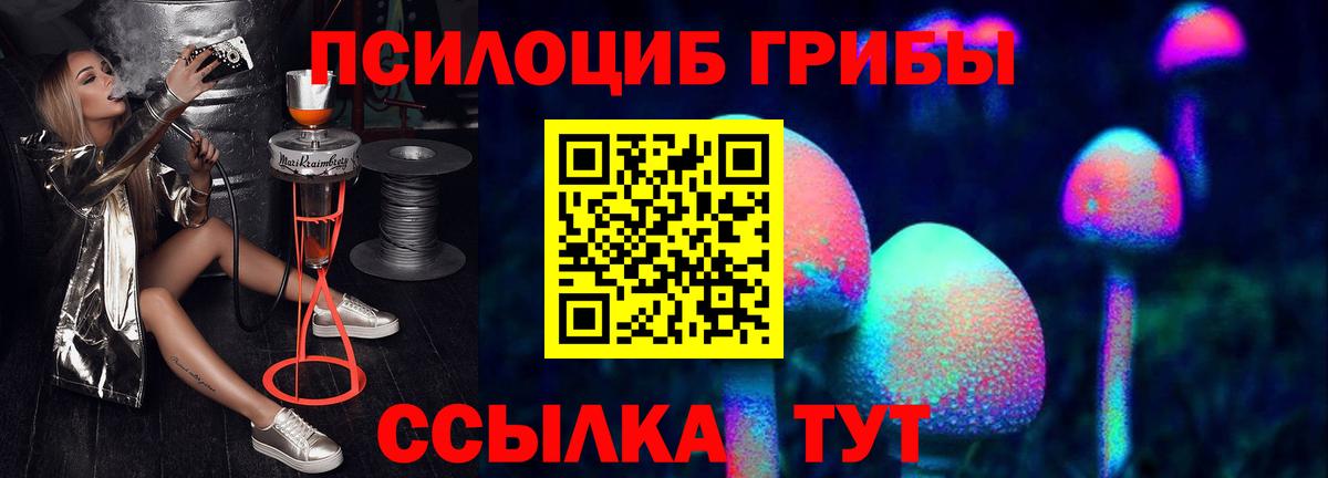 Галлюциногенные грибы Psilocybe Краснодар